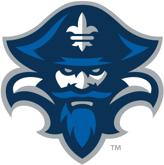 New Orleans Privateers 2013-Pres Secondary Logo diy DTF decal sticker